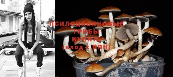 ALPHA PVP Баксан