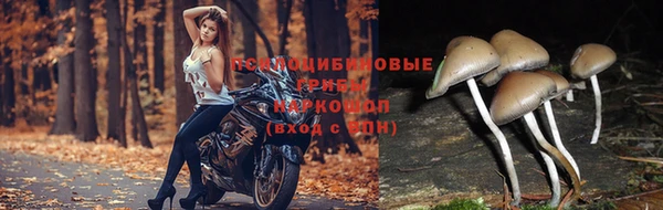 меф VHQ Балахна