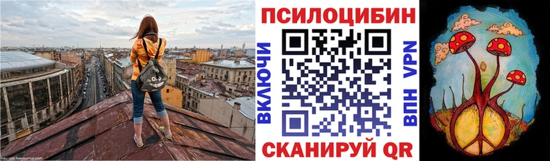 МЕГА рабочий сайт  Саянск  Галлюциногенные грибы Psilocybine cubensis  даркнет сайт 